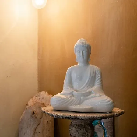 Charming Hideaway In Old Town 公寓 佛罗伦萨